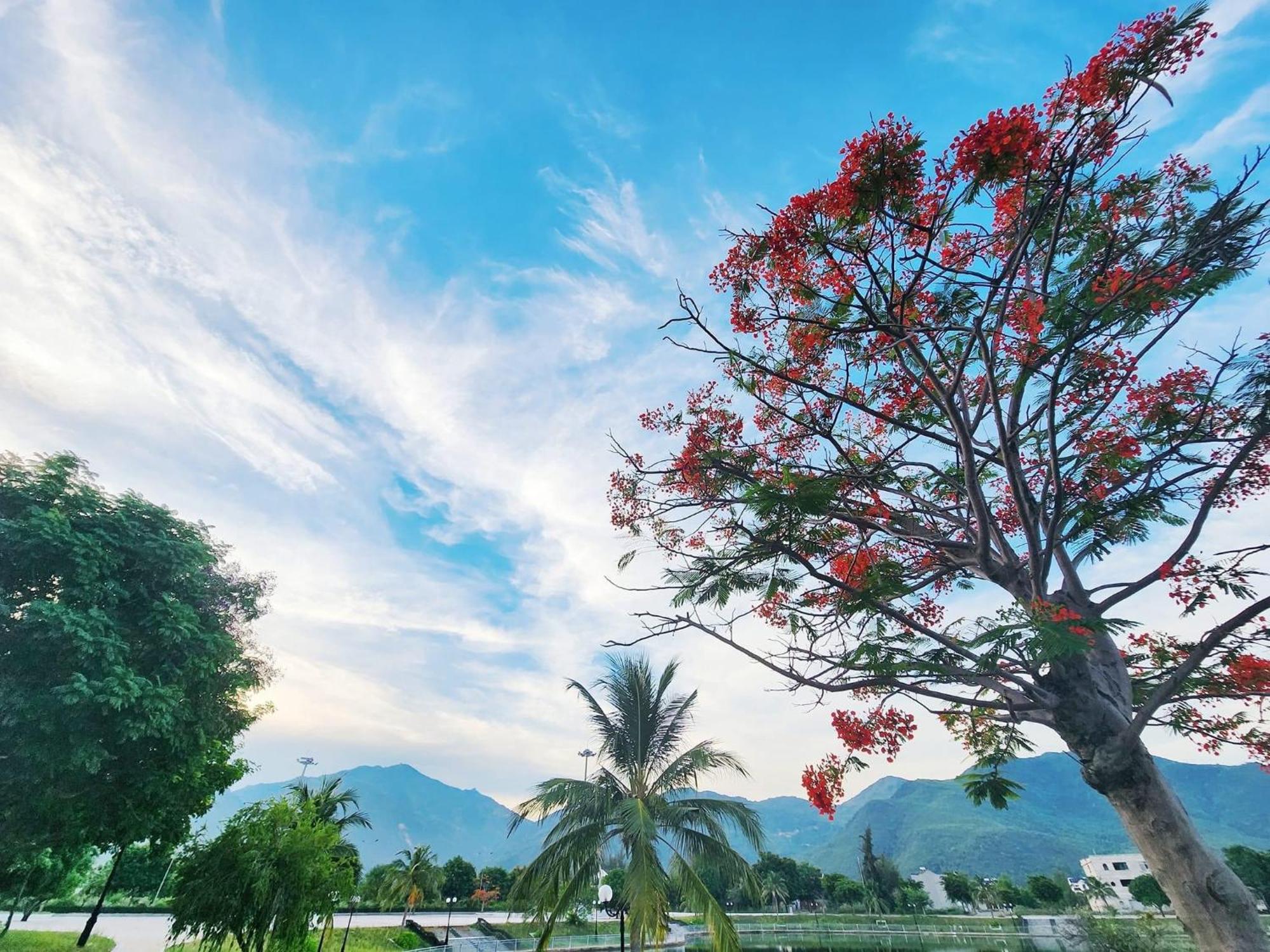Moc Homestay- Near Bai Dai Beach Cam Lam Eksteriør billede