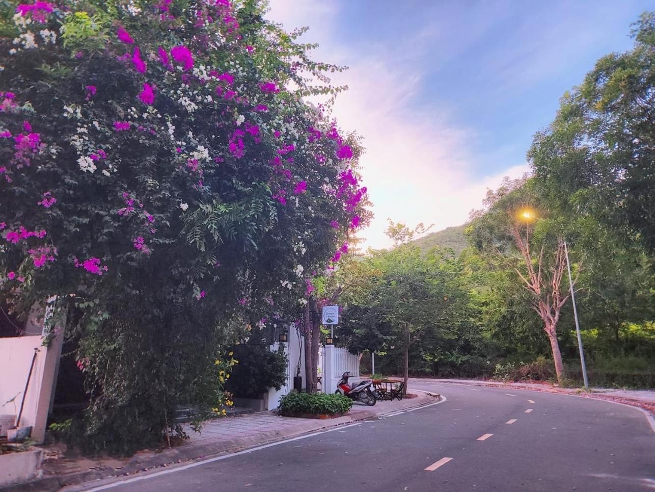 Moc Homestay- Near Bai Dai Beach Cam Lam Eksteriør billede