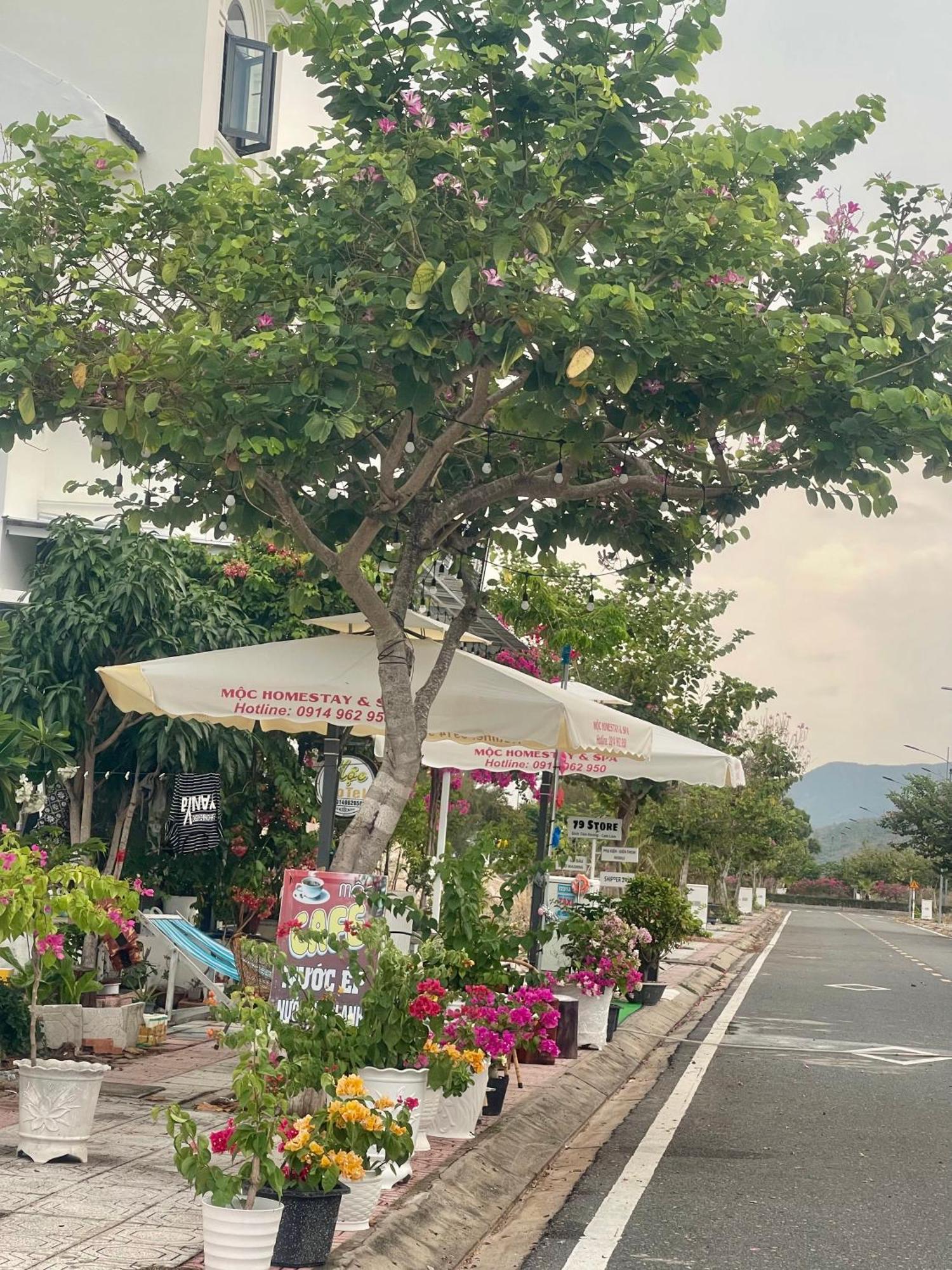 Moc Homestay- Near Bai Dai Beach Cam Lam Eksteriør billede